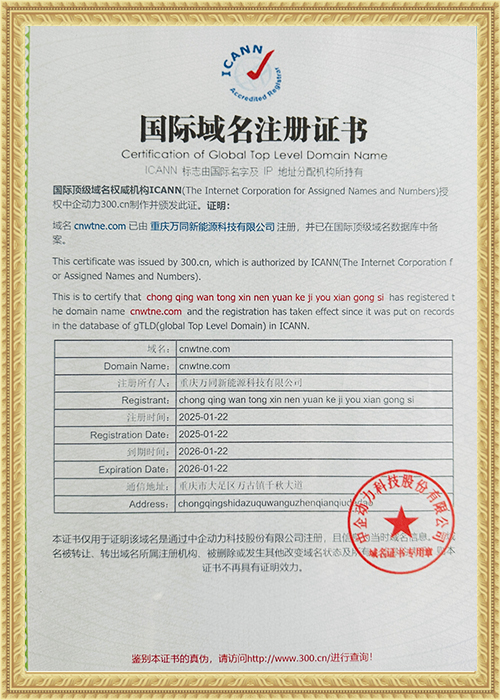 International Domain Name Registration Certificate